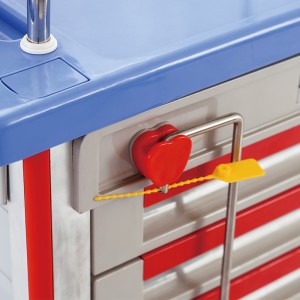P003-Disposable Lock