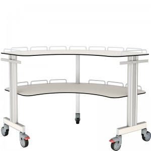 SKR-T01
